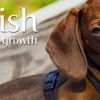 Nourish Pet Care gallery