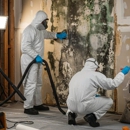 Fort Lauderdale Mold Removal & Restoration - Water Damage Restoration