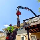 Patriot Tree Service