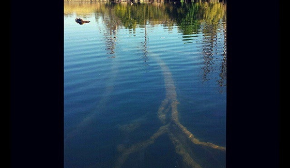 Sacramento State Aquatic Center - Gold River, CA