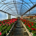 Cedar Swamp Farm & Greenhouses