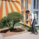 Peach Pest Co - Pest Control Services