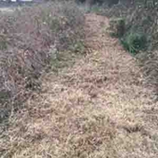 Gallery Image Number 1