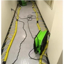 SERVPRO of Newark, Southwest Fremont - Water Damage Restoration