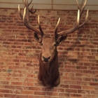 Elks Lodge