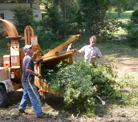 County  Tree Service