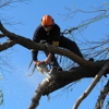 Heflin Tree Service gallery