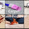 CLEAN San Diego Carpet Cleaning Services gallery