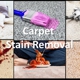 CLEAN San Diego Carpet Cleaning Services