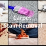 CLEAN San Diego Carpet Cleaning Services