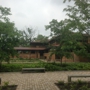 Frank Lloyd Wright's Martin House