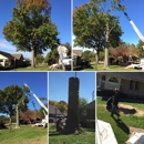 T & M Tree Service - Crane Service