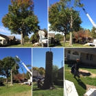 T & M Tree Service