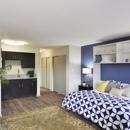 The Element at Cedar Bluff - Apartments