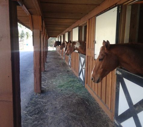 Cordillera Equestrian Center - Edwards, CO