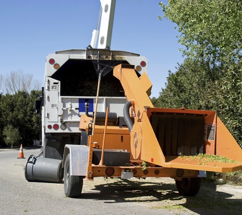 Green America Tree & Landscaping LLC - Henderson, NV