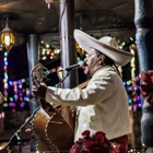 Mariachi Chapala en Tampa