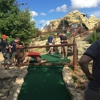 Wilderness Falls Mini Golf gallery