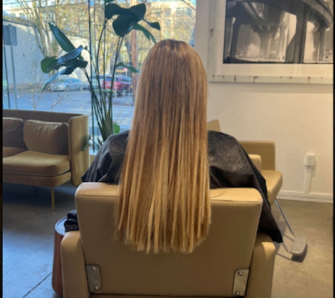 Portland Hair Extensions by Penelope - Portland, OR