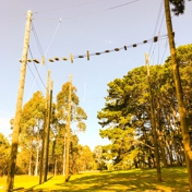Gallery Image Number 4