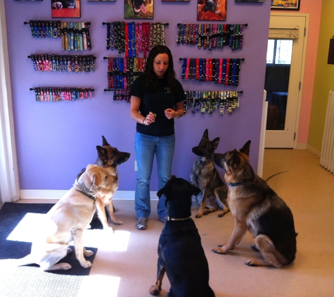 Pet Degree Dog Training Center - Trumbull, CT