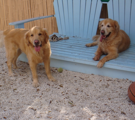Rios Pet Spa and Boarding - Miami, FL
