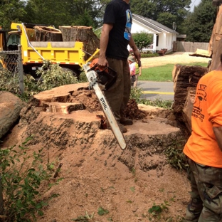 Stanley Tree and Landscaping - Cartersville, GA