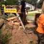 Stanley Tree and Landscaping - Cartersville, GA