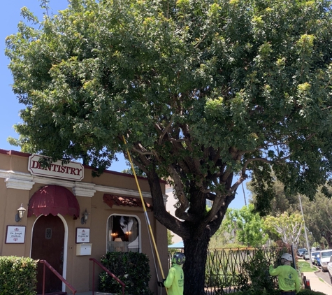 Premier Tree Experts - Orange, CA