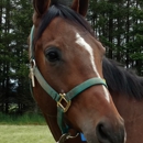 Timber Ridge Equestrian Center - Horse Training