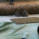 Sonoma Humane Society Veterinary Hospital - Animal Shelters