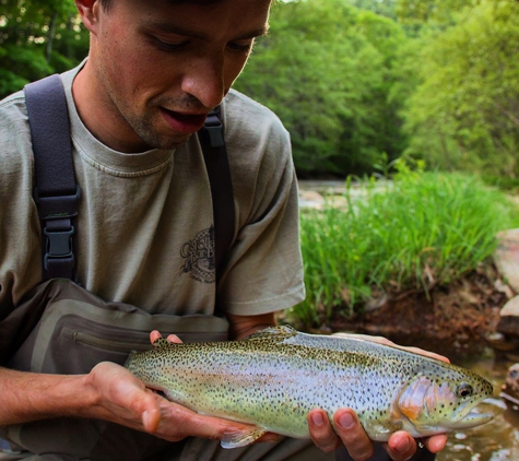 Knapp's Creek Trout Lodge - Marlinton, WV