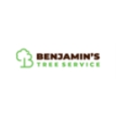 Benjamin's Tree Service - Tree Service