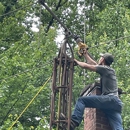 Wolf Demolition and Junk Removal - Junk Removal