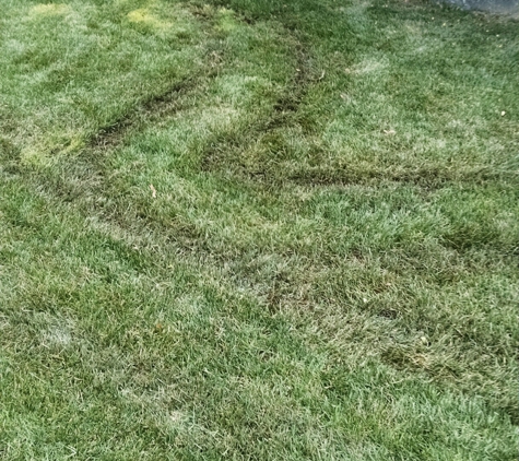 Esquire Landscapes - Commack, NY. Most of my back yard destroyed by inexperienced staff that cut lawn after heavy rain storm with their heavy machinery.