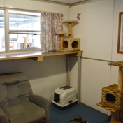 Gallery Image Number 8