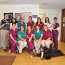 Advanced Veterinary Care - Pet Services