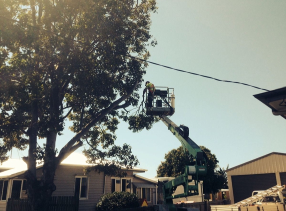 Bundy & Bargara Tree Service - Bundaberg North, QLD