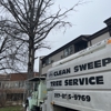 AAA Clean Sweep Tree Service gallery