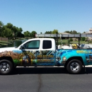 Arrow Pest Control - Bee Control & Removal Service