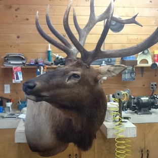 Island Taxidermy - Roper, NC