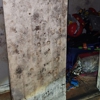 The Best Air Quality & Restoration gallery