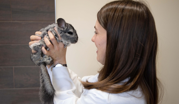 Fox Creek Veterinary Hospital - Wildwood, MO