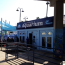 Santa Monica Pier Aquarium - Public Aquariums