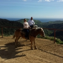 Circle Bar B Guest Ranch - Stables