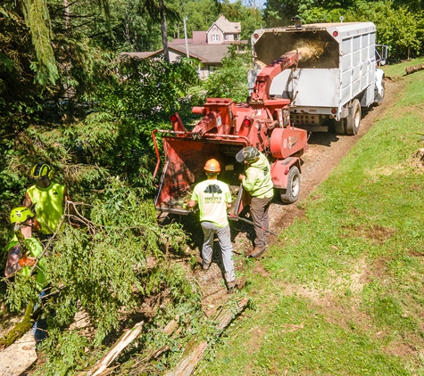 Smitty’s Tree Service - Sherrodsville, OH