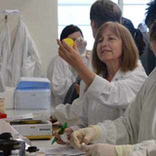 Bill Walsh Translational Cancer Research - St Leonards, NSW