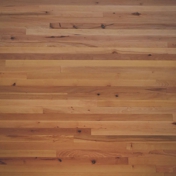 Gallery Image Number 7
