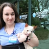 BluePearl Pet Hospital gallery