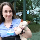 BluePearl Pet Neurology - Veterinarians